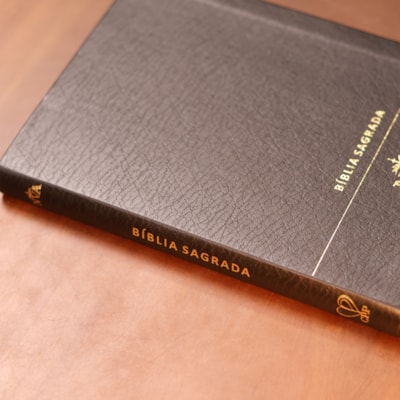 image_e772c65e-ff17-4864-a9e8-a2c65f0360cc