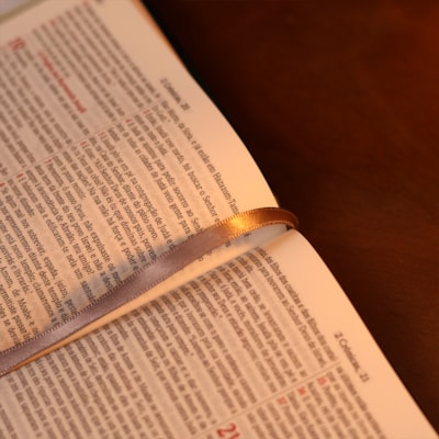 image_d8010bdd-ddcc-4ba3-b640-284994ea2f8c