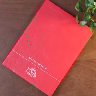 image_04f03c64-b763-47fc-80c1-0ca640a346aa