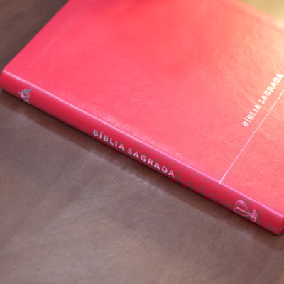 image_2a536f09-2566-4ad0-905e-0597e3026ca6