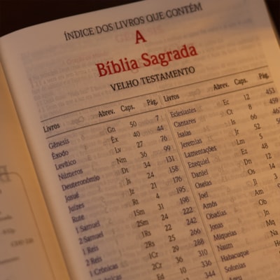 image_c0559c5a-7a07-4b8d-bd05-f3bbb98916d1