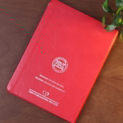 image_8a5159db-9543-4c76-9ae8-ffc05275e65b