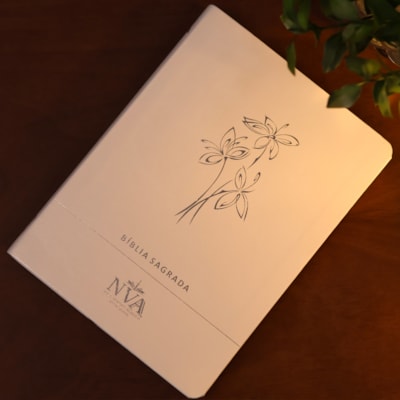 image_b286e6ac-d32b-4e5f-ab33-e707e09fbd31