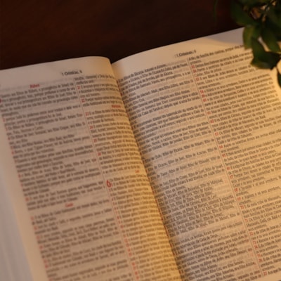 image_5c910c20-1127-4693-b814-53ef1567f226