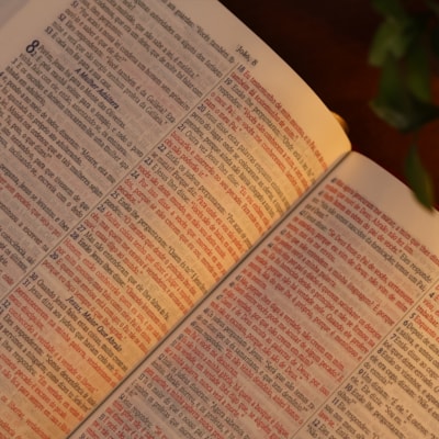 image_3b9216c1-7a6f-4424-b2b6-c36742734dec