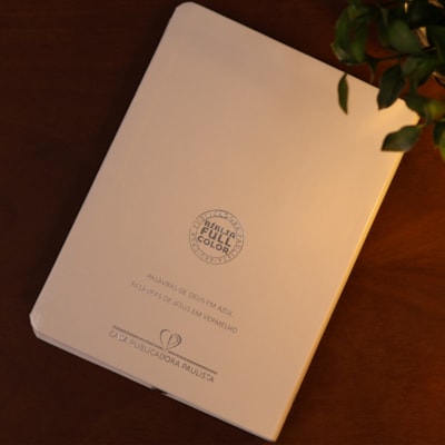 image_b9c6eeaa-ba92-4920-b8c2-5dd2124438e5