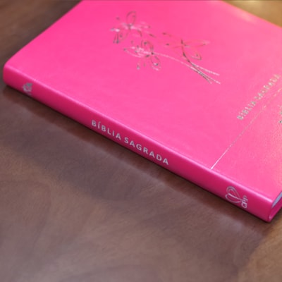 image_480e9aee-202c-4b90-a237-3fabe3ef02e2