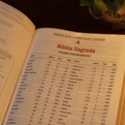 image_b9bde233-eba1-480a-b4e2-0829f72ff87b