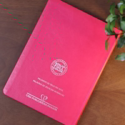 image_9240f186-aefd-4f21-abd7-d8360bbe2da5