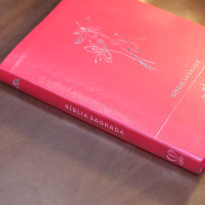 image_75471fa7-2beb-4342-a57d-0ad1c7b30294