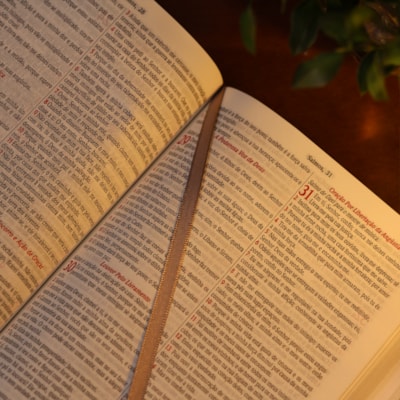 image_8f5c4fd3-f784-4fca-ae06-3450e705a201