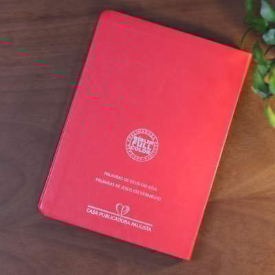 image_df8f2af4-41af-4309-8d08-f3f51ed95093