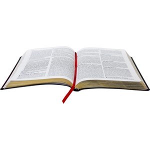 Bíblia Slim | NAA | Letra Normal | Capa Preto Nobre