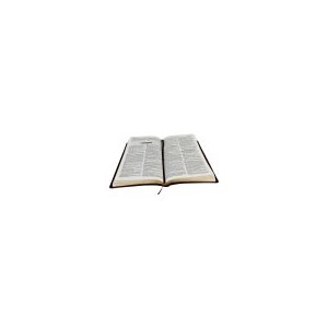 Bíblia Slim Sagrada com Harpa Cristã | Letra Normal | ARC | Capa Couro Marrom Nobre