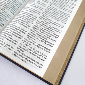 Bíblia Tesouro Sagrado | Leitura Perfeita | ACF | Letra Grande | Capa Dura