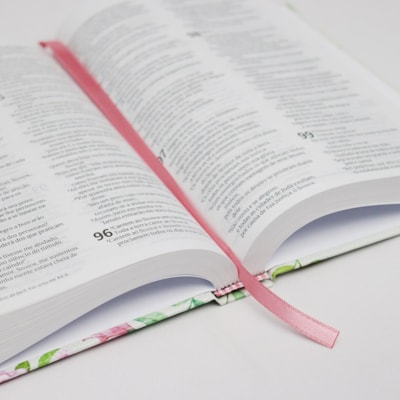 image_a5043f0d-be47-4920-b908-0e15381fd83a