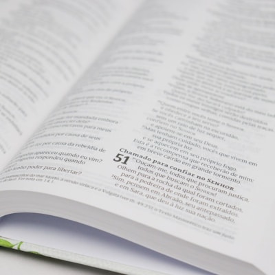 image_eb49648a-806d-4db8-913f-5ddf1c15a045