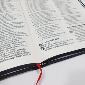 Bíblia The Love Book Coroa Jesus Copy | NAA | Letra Normal | Capa Dura