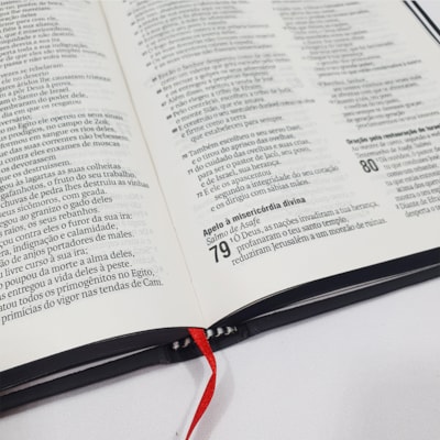 image_4029f5ed-3725-4c14-a47b-6d375353dc2f