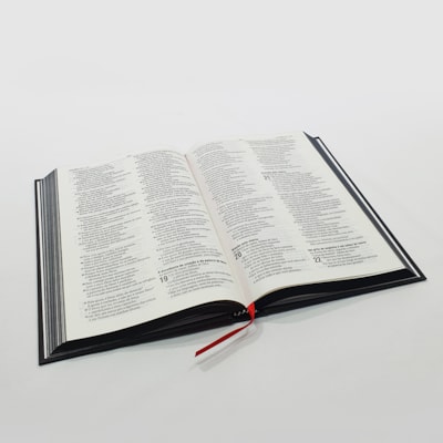 image_e7e57abd-8adc-4a13-9a50-6a658b6cf9ef