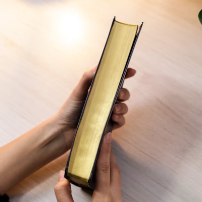 image_88fe0a3a-bd0d-4160-ba69-13dade1ffcec