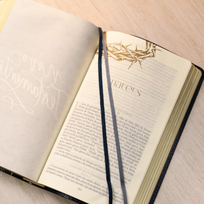 image_2cc20578-8aba-418e-9cf8-4c8c4b62759e