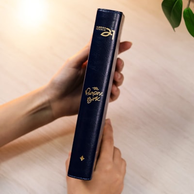 image_025ab8c9-f466-4194-8450-d4f7ccd2ac8b