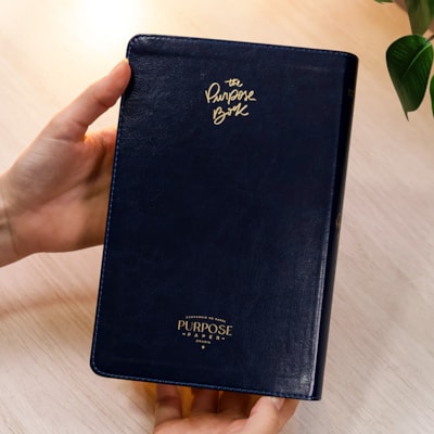 image_657a06fe-3d1b-479c-a85d-494f5338938b