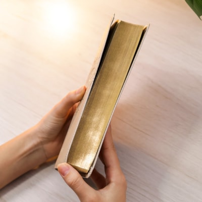 image_f08e034f-15cf-4ca5-bc82-6b6209f650d5