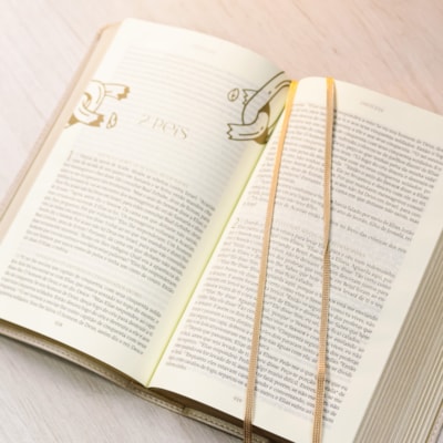 image_b61a1b7d-53c0-495f-b73e-ccd6284566ff