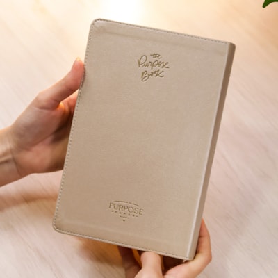 image_4f9bbe68-fcd1-4213-a206-bc1678ab84c5