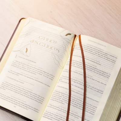 image_c275c1b3-f2ab-4470-a89e-6575ef58e7bc