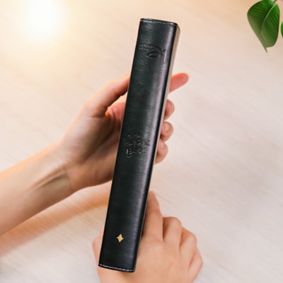 image_9493cc1b-f7b3-43cb-a809-bb27558f79ea