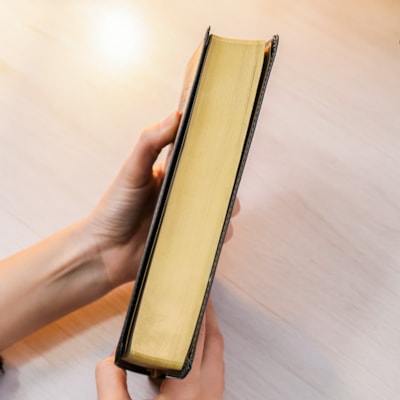 image_097f35d6-b908-4373-b125-cf0d07beae43