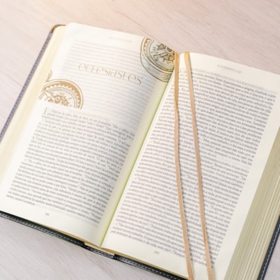 image_915f71c6-481f-459d-8155-cd9e98972ac4