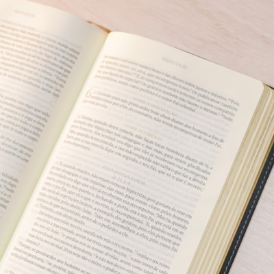 image_caab90e1-f25a-4694-b70d-9b609c347a37