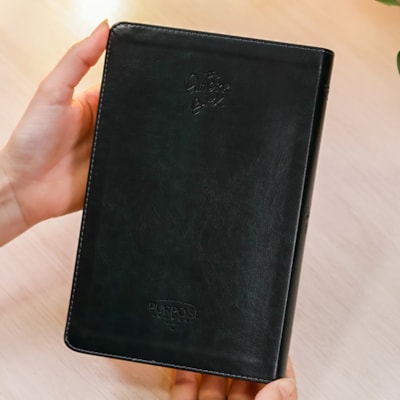 image_fa453d49-ca17-4d58-9541-a3546b54d275