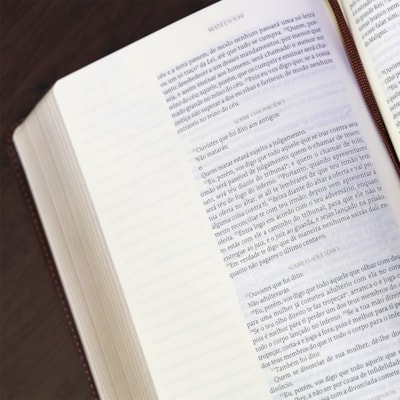 image_5629406f-29e3-4958-9889-37bde33c04c2