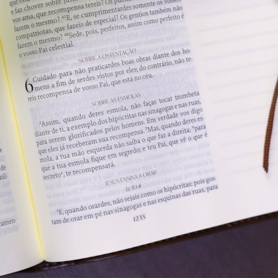 image_1979a95b-9f60-4fb2-9063-493fa04b6793