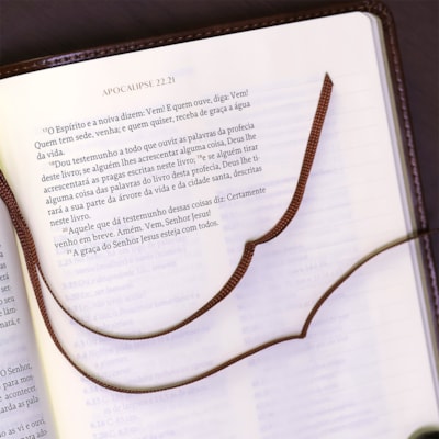 image_c4c099fd-05ee-4ecf-8a8c-41346991243d