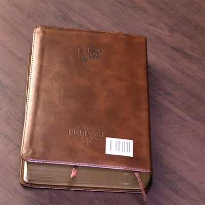 image_9d6979d1-8578-4ff6-97fe-97961b07a830