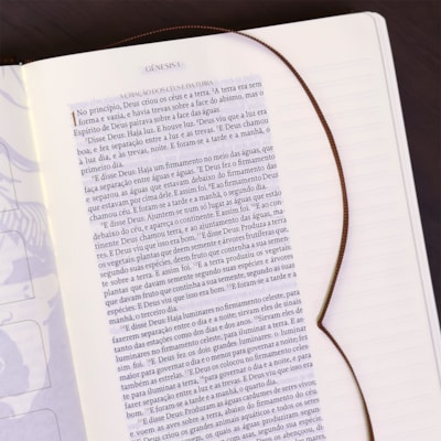 image_2f59dc11-8135-433a-b89f-95747f075f86