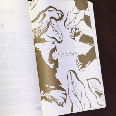 image_92f51b2d-39ed-4185-a019-09ac5f1b859a