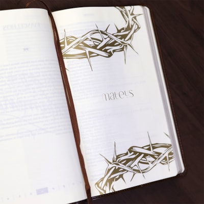 image_ac1053be-a679-4d28-96a5-494a080dd9ea