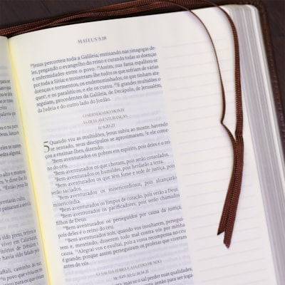 image_7a88bfcb-4ba0-4956-a644-cf597775c953