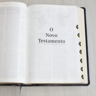 image_99bd2cb5-ff3e-4fc5-a895-06671a8b415a