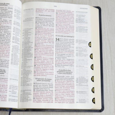 image_7ee97868-dc21-459f-8504-ed633ff631fb