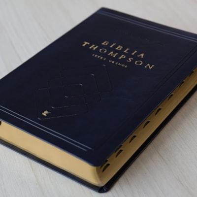 image_ace5e362-23bc-450a-978e-7b7f76299e3f