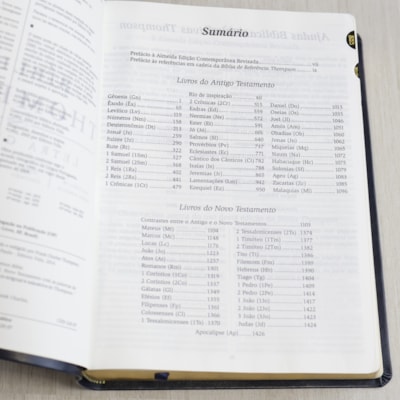 image_d42b9c55-106b-4221-b146-f3e184f89b3f