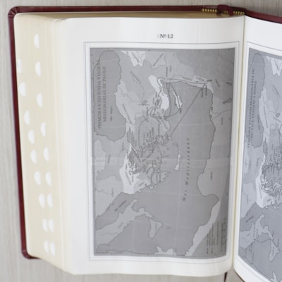 image_0b6b7cf6-3a01-41df-9080-6d6b71e854e3